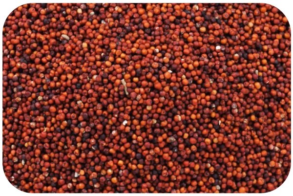 Ragi Millet / रागी